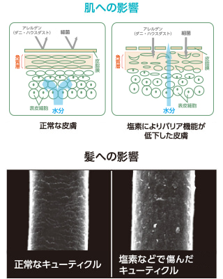 肌への影響、髪への影響